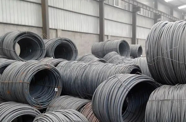 �������F�P�l